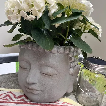 Am Klinikum, Naehe Europa Park Und Strasbourg, Zentrumsnah