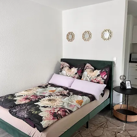 Apartment Am Klinikum, Naehe Europa Park Und Strasbourg, Zentrumsnah
