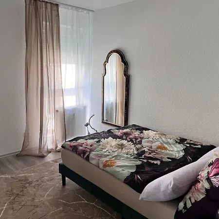 Apartment Am Klinikum, Naehe Europa Park Und Strasbourg, Zentrumsnah Offenburg