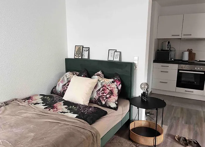 Appartement Am Klinikum, Naehe Europa Park Und Strasbourg, Zentrumsnah Offenbourg