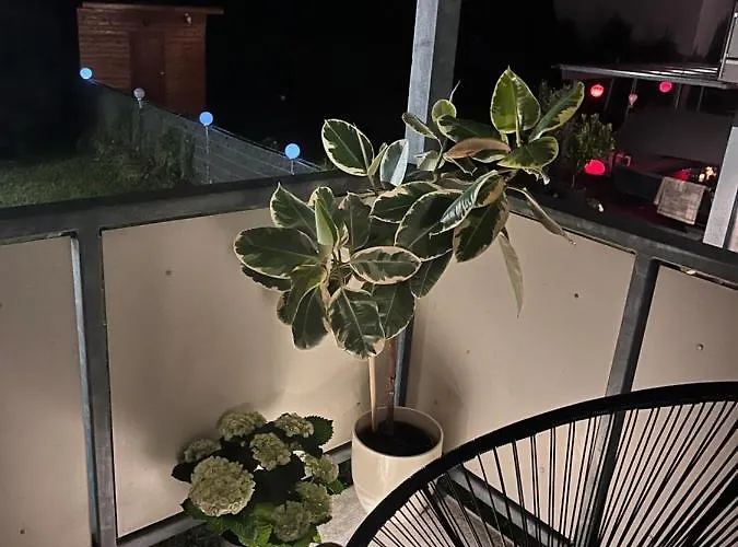 Am Klinikum, Naehe Europa Park Und Strasbourg, Zentrumsnah Appartement *